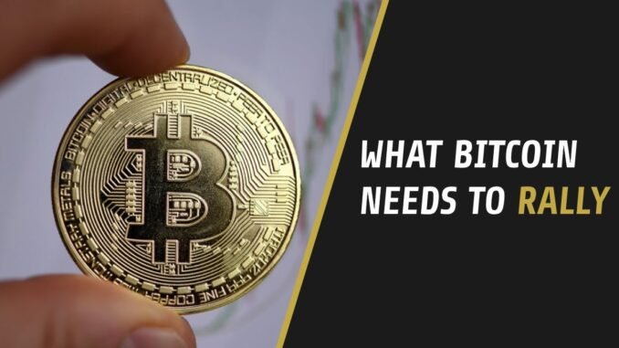 Bitcoin's Moment | How Bitcoin Can Break $20,000