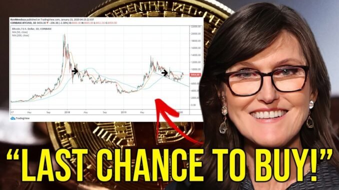 Cathie Wood - Be Prepared!! This Is What's Going To Happen To Bitcoin NOW | Bitcoin Price Prediction