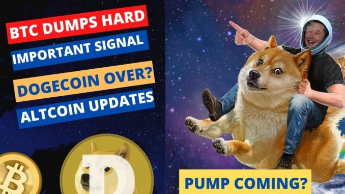 🚨 Cryptocurrency News today in Hindi | Crypto CRASH Latest news update today | Dogecoin News Today