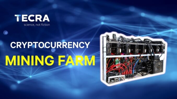 One of the biggest polish cryptocurrency mining farm overview