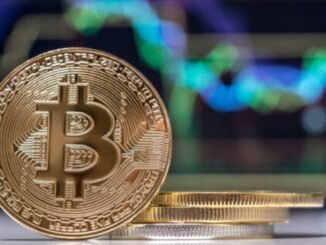 Bitcoin Transaction Volume Hits a Monthly High as Crypto Adoption Surged by Over 881% Last Year