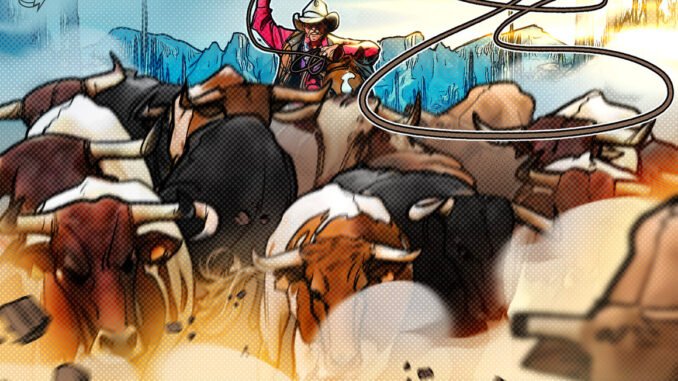 What will drive crypto’s likely 2024 bull run?